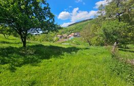 Teren extravilan, parcele, 90 ha, pădure și fâneață, zona Inuri 