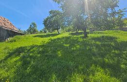 Teren extravilan, 90 ha, pădure și fâneață, zona Inuri 