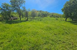 Teren extravilan, 90 ha, pădure și fâneață, zona Inuri 