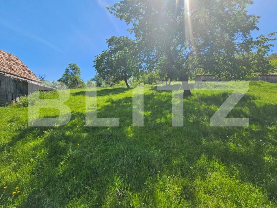 Teren de vânzare Inuri - 202575TV | BLITZ Alba Iulia | Poza2