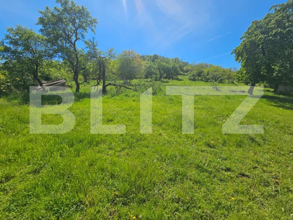 Teren de vânzare Inuri - 202575TV | BLITZ Alba Iulia | Poza3