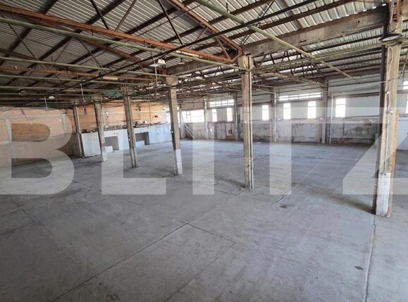 Spațiu comercial de închiriat Bărăbanț - 202647SIC | BLITZ Alba Iulia | Poza3