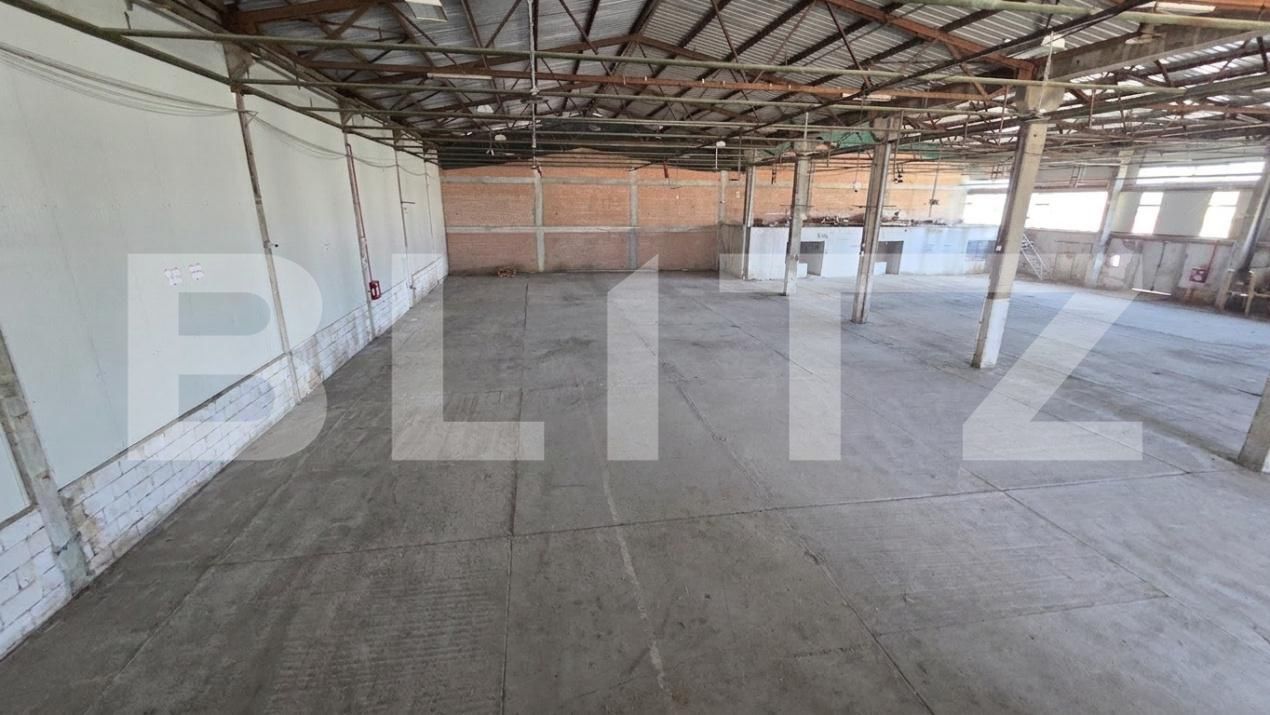 Spațiu comercial de închiriat Bărăbanț - 202647SIC | BLITZ Alba Iulia | Poza2