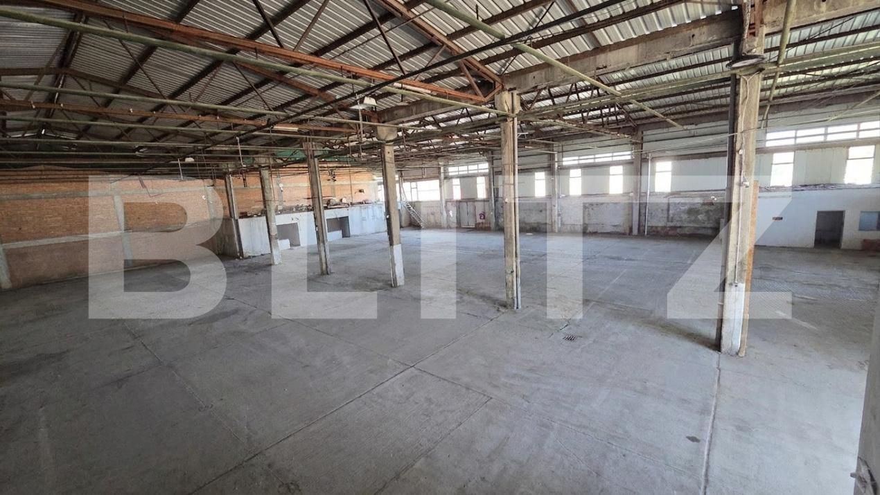 Spațiu comercial de închiriat Bărăbanț - 202647SIC | BLITZ Alba Iulia | Poza3