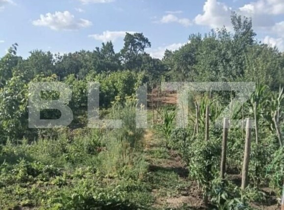 Casa de vânzare 3 camere Unirea - 202719CV | BLITZ Alba Iulia | Poza4