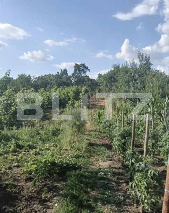 Casa de vânzare 3 camere Unirea - 202719CV | BLITZ Alba Iulia | Poza4