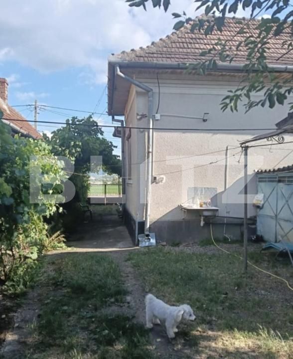 Casa de vânzare 3 camere Unirea - 202719CV | BLITZ Alba Iulia | Poza3