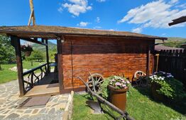 Pensiune cu 8 căsuțe, ciubere cu hidromasaj, Poiana Aiudului, Livezile