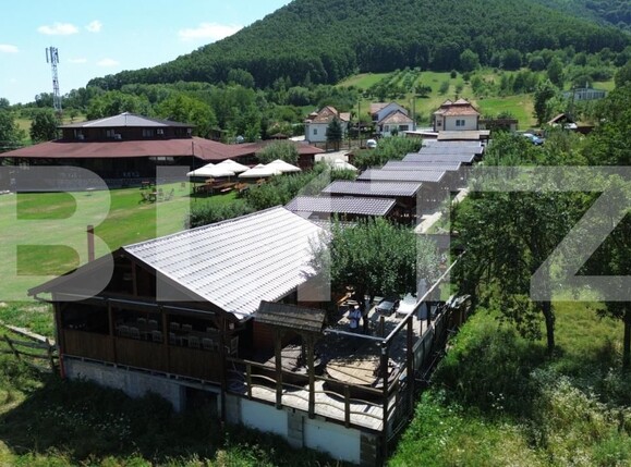 Spațiu comercial de vânzare Poiana Aiudului - 202733SVC | BLITZ Alba Iulia | Poza6