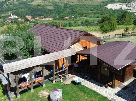Spațiu comercial de vânzare Poiana Aiudului - 202733SVC | BLITZ Alba Iulia | Poza14