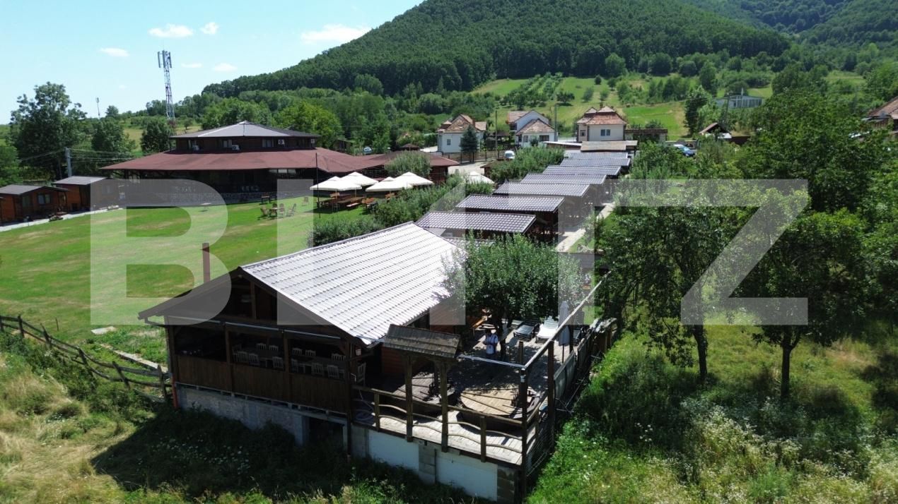 Spațiu comercial de vânzare Poiana Aiudului - 202733SVC | BLITZ Alba Iulia | Poza6