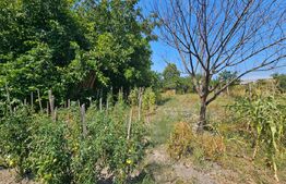Casă 2 camere în Unirea – 847 mp teren