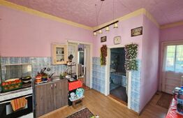 Casă 2 camere, 65 mp, 847 mp teren, zona Unirea 