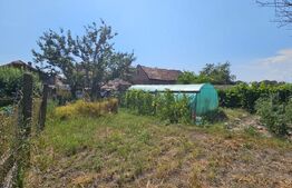 Casă 2 camere în Unirea – 847 mp teren