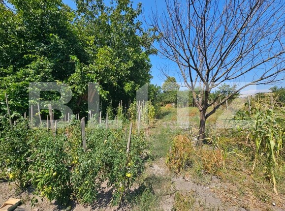 Casa de vânzare 2 camere Unirea - 202788CV | BLITZ Alba Iulia | Poza14
