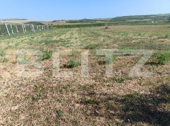 Casa de vânzare 1 camera Unirea - 202833CV | BLITZ Alba Iulia | Poza7