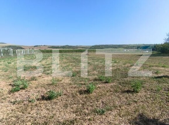 Casa de vânzare 1 camera Unirea - 202833CV | BLITZ Alba Iulia | Poza5