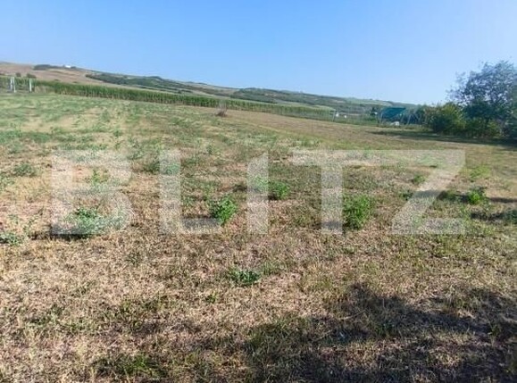 Casa de vânzare 1 camera Unirea - 202833CV | BLITZ Alba Iulia | Poza8