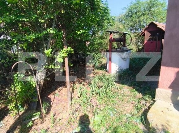 Casa de vânzare 1 camera Unirea - 202833CV | BLITZ Alba Iulia | Poza9