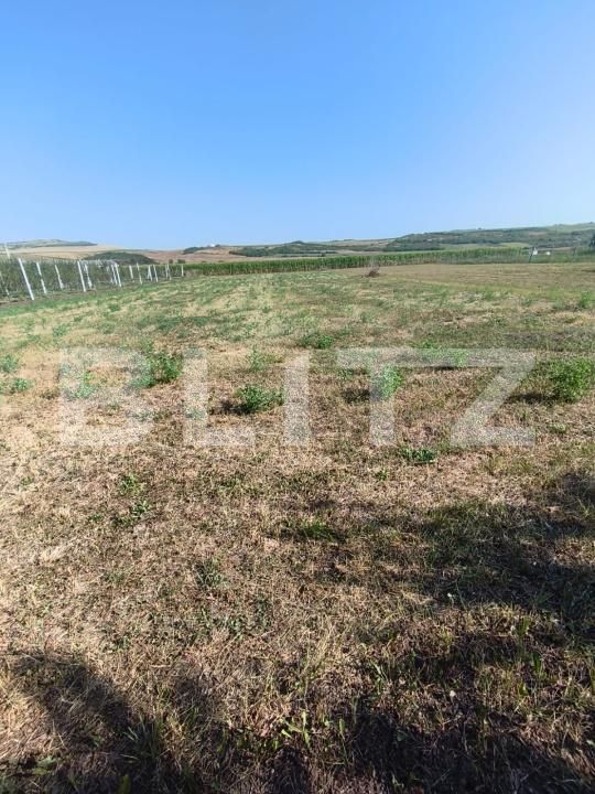 Casa de vânzare 1 camera Unirea - 202833CV | BLITZ Alba Iulia | Poza7