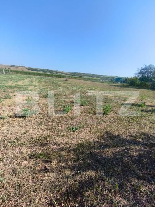 Casa de vânzare 1 camera Unirea - 202833CV | BLITZ Alba Iulia | Poza8