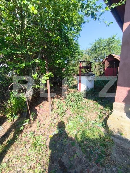Casa de vânzare 1 camera Unirea - 202833CV | BLITZ Alba Iulia | Poza9