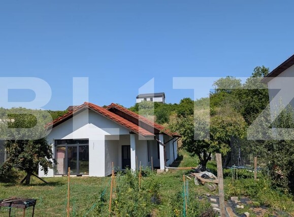 Casa de vânzare 3 camere Cetate - 202859CV | BLITZ Alba Iulia | Poza1