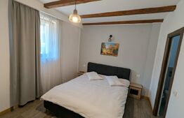 Casa de vanzare, pretabila pentru investitie si locuit