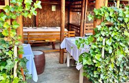 Casa 8 camere,teren 1027 mp, foisor si gratar,Micesti