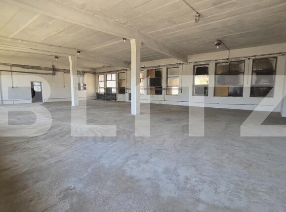 Spațiu industrial de închiriat Bărăbanț - 203058SII | BLITZ Alba Iulia | Poza1