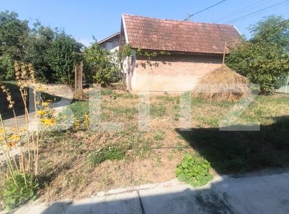 Casa de vânzare 3 camere Ocna Mures - 203090CV | BLITZ Alba Iulia | Poza6