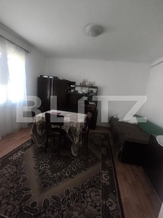 Casa de vânzare 3 camere Ocna Mures - 203090CV | BLITZ Alba Iulia | Poza10