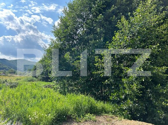 Teren de vânzare Valisoara - 203152TV | BLITZ Alba Iulia | Poza2