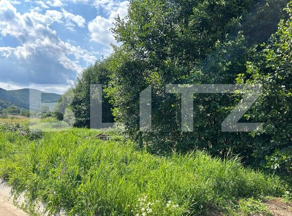 Teren de vânzare Valisoara - 203152TV | BLITZ Alba Iulia | Poza1
