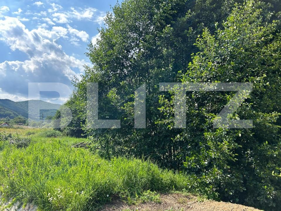 Teren de vânzare Valisoara - 203152TV | BLITZ Alba Iulia | Poza2