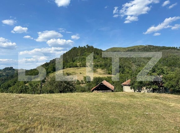 Casa de vânzare 2 camere Matacina - 203177CV | BLITZ Alba Iulia | Poza3