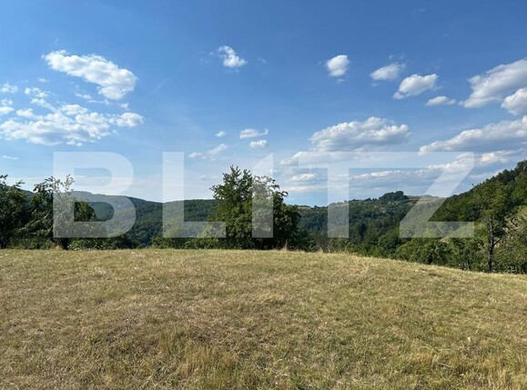 Casa de vânzare 2 camere Matacina - 203177CV | BLITZ Alba Iulia | Poza2
