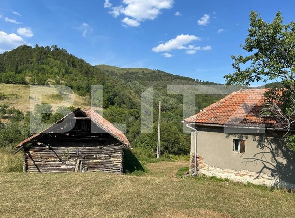 Casa de vânzare 2 camere Matacina - 203177CV | BLITZ Alba Iulia | Poza4