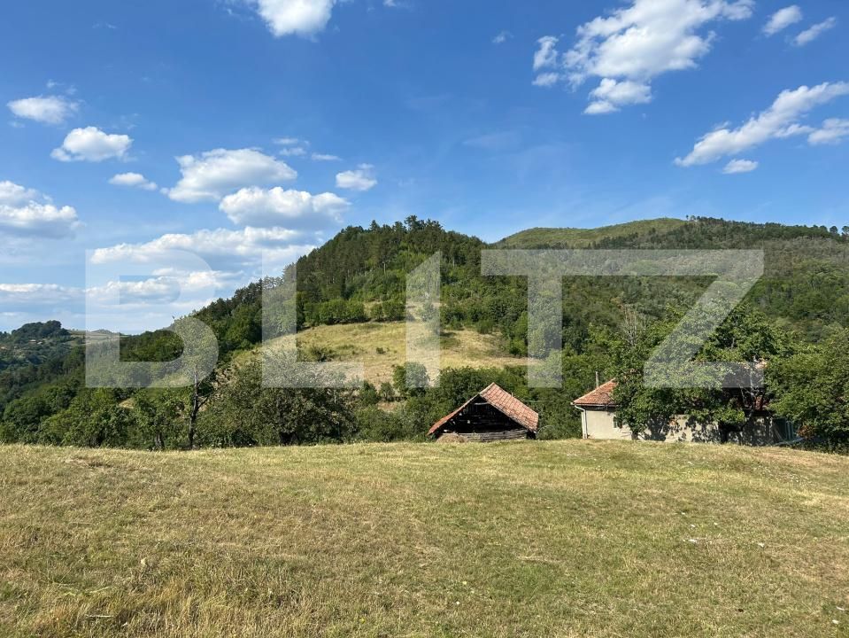 Casa de vânzare 2 camere Matacina - 203177CV | BLITZ Alba Iulia | Poza3