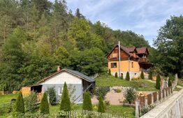 Casa de vanzare, 252 mp, 1800 teren, zona Ocolis
