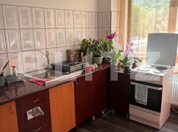 Casa de vânzare 4 camere Ocolis - 203293CV | BLITZ Alba Iulia | Poza6