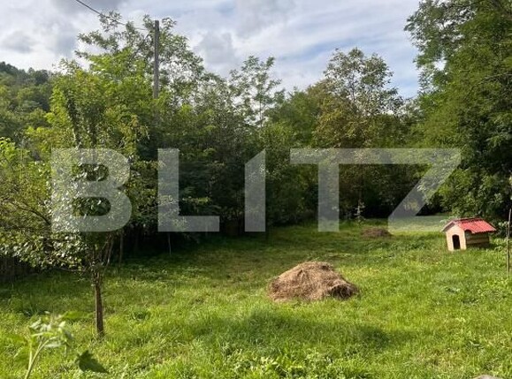 Casa de vânzare 4 camere Ocolis - 203293CV | BLITZ Alba Iulia | Poza18