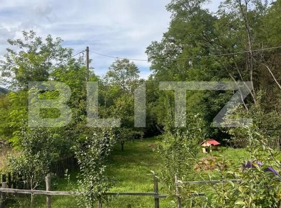Casa de vânzare 4 camere Ocolis - 203293CV | BLITZ Alba Iulia | Poza17
