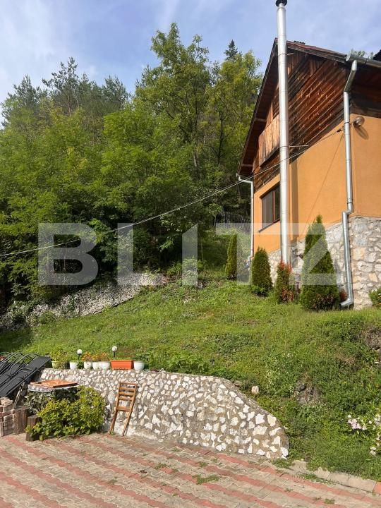 Casa de vânzare 4 camere Ocolis - 203293CV | BLITZ Alba Iulia | Poza19