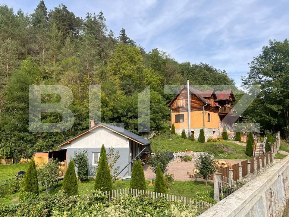 Casa de vânzare 4 camere Ocolis - 203293CV | BLITZ Alba Iulia | Poza23