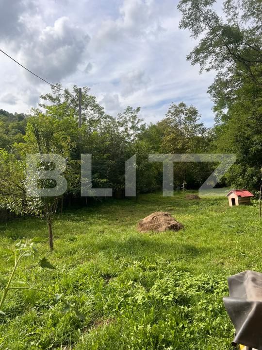 Casa de vânzare 4 camere Ocolis - 203293CV | BLITZ Alba Iulia | Poza18