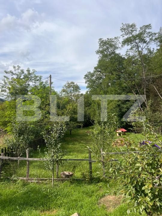 Casa de vânzare 4 camere Ocolis - 203293CV | BLITZ Alba Iulia | Poza17