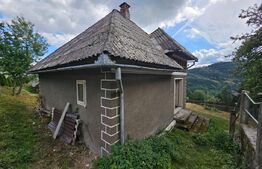 Proprietate cu 2 case, 120 mp, teren 1.855 mp, Vadul Moților