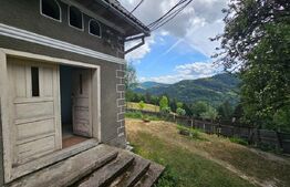 Proprietate cu 2 case, 120 mp, teren 1.855 mp, Vadul Moților