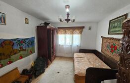 Proprietate cu 2 case, 120 mp, teren 1.855 mp, Vadul Moților